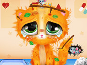 Miruna’s Adventure: Vet